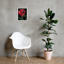Load image into Gallery viewer, True Love Print- Rose Framed Print - Alinato Art

